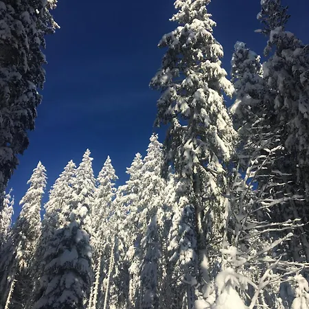 Le Joy - Le Quaire - 5 Pers *